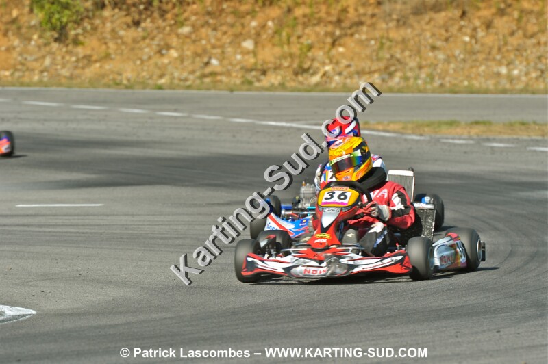 DSC_ (1221).JPG